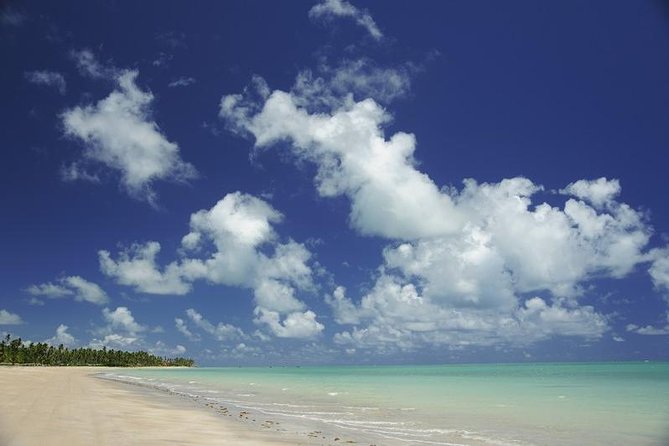 private-transfer-from-recife-to-maragogi-01-to-06-pax-by-geotur-receptives