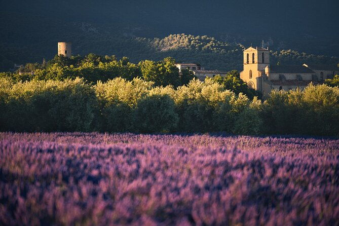 private-transfers-provence-by-smart-vtc