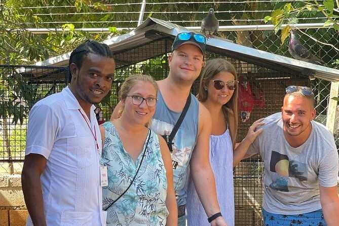 private-transportation-to-blue-hole-dunns-river-falls-w-drinks