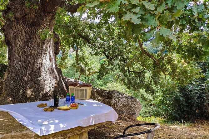 private-trip-through-the-heart-of-crete-picnic-wine-tasting