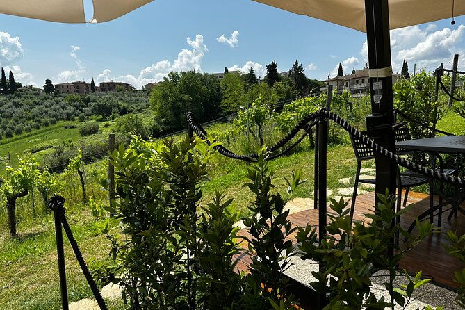 private-tuscan-lunch-with-wine-evo-oil-tasting-in-the-vineyard