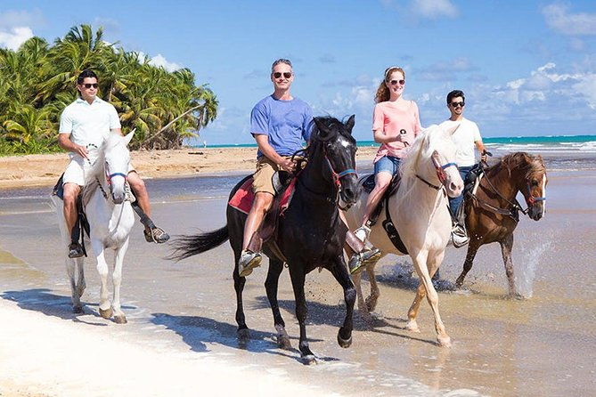 private-v-i-p-sightseeing-shopping-and-beach-tour