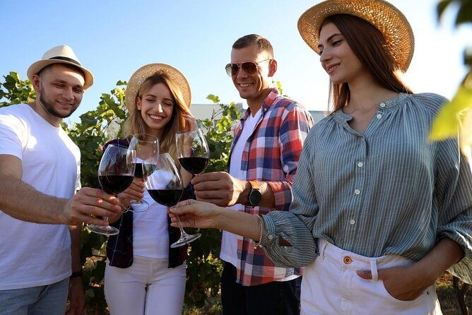 private-vineyard-tour-with-dinner-under-the-stars-in-karnas