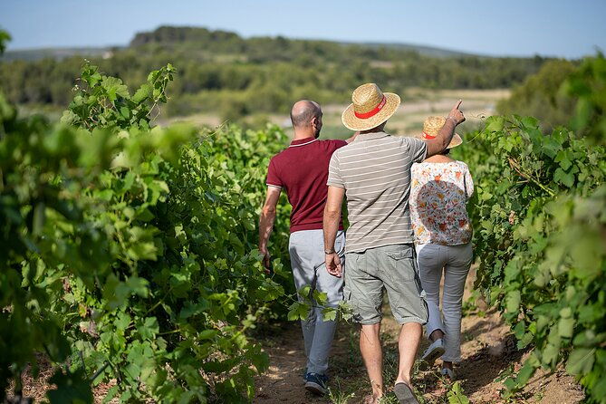 private-vintage-car-half-day-wine-tour-in-2cv