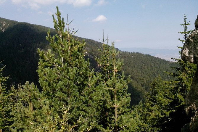 private-vitosha-mountains-hiking-with-black-peak-dragalevtsi-monastery-2
