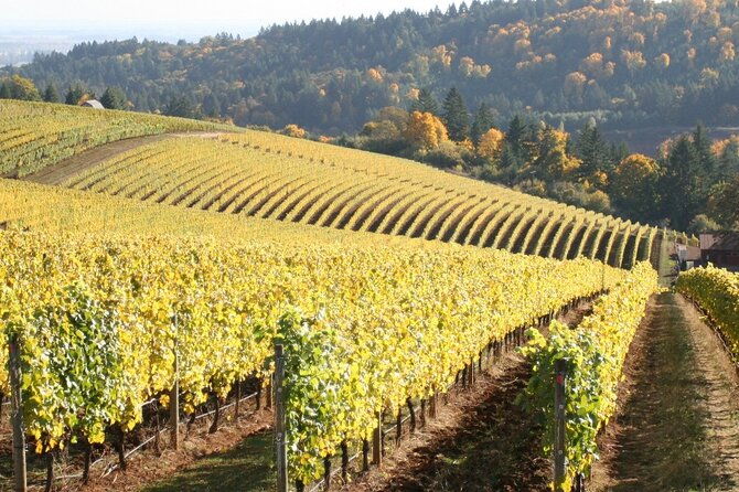 private-willamette-valley-wine-tour-from-portland-all-tasting-fees-included