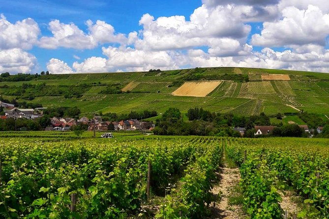 private-wine-cheese-tour-to-loire-valley-vineyards-from-paris-2