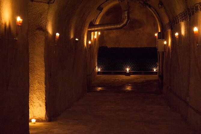 private-wine-tasting-by-party-in-belgrade