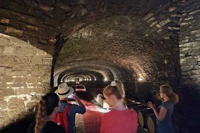 private-wine-tour-in-chianti-classico-with-sommelier-2-wineries