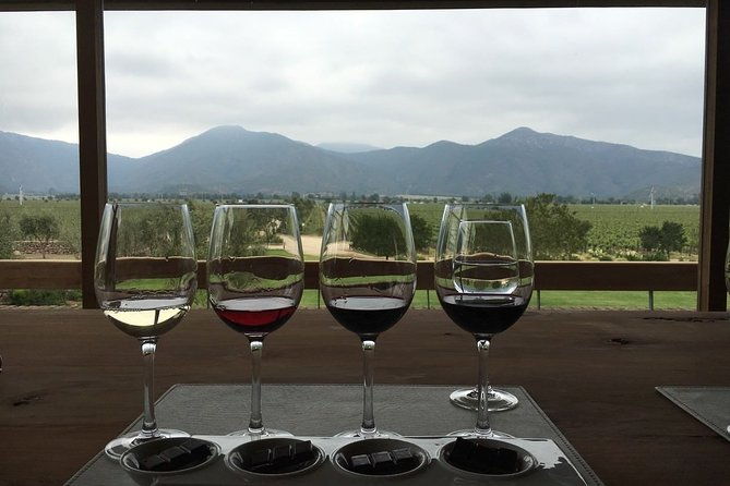 private-wine-tour-in-valparaiso