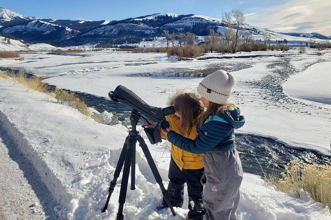 private-wolf-wildlife-watching-in-yellowstones-lamar-valley