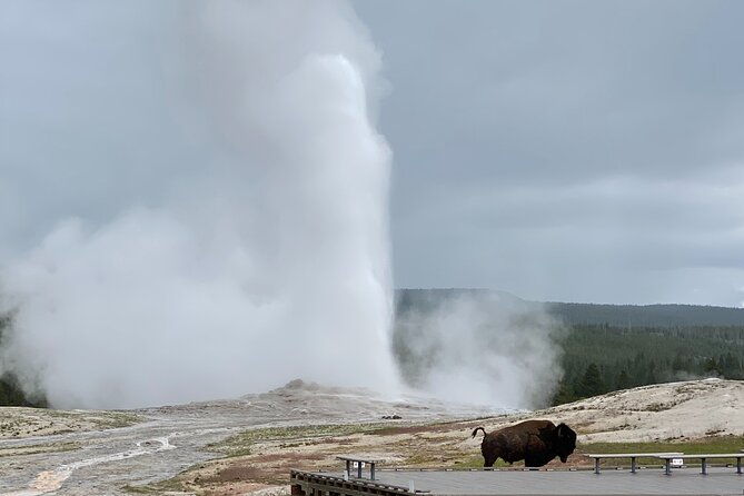 private-yellowstone-tour-4-or-more-people-picnic-binoculars-spotting-scope