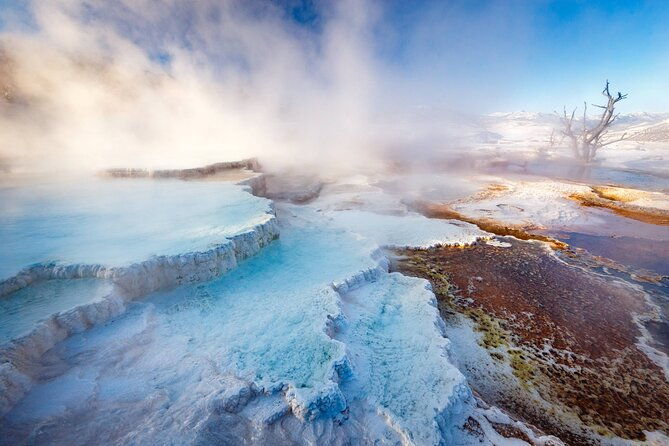 private-yellowstone-winter-wolf-watching-and-wildlife-safari-2