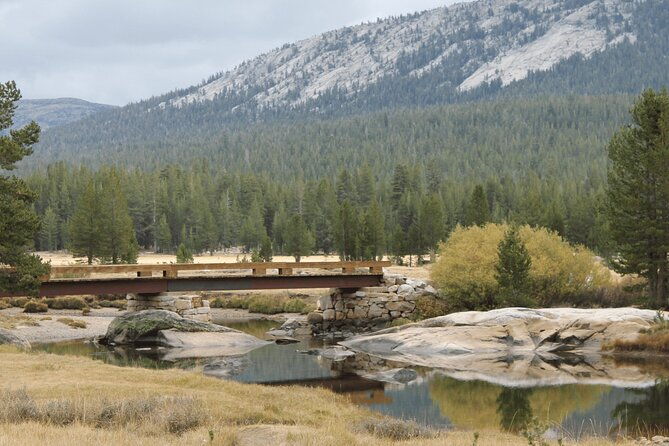 private-yosemite-national-park-day-trip-from-san-francisco