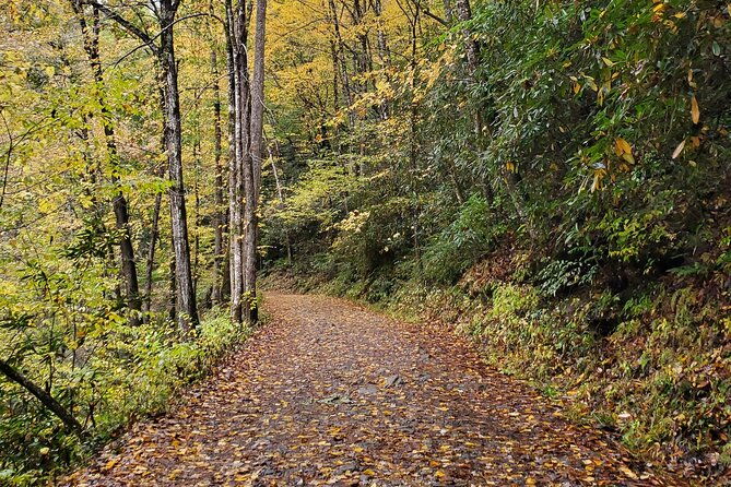 privately-guided-full-day-hike