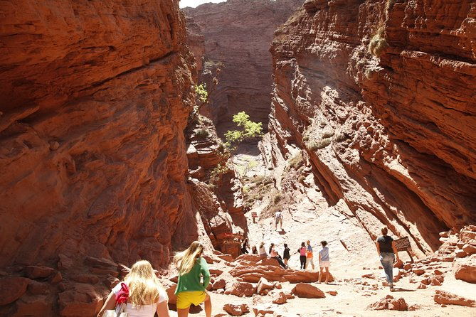 promotion-of-3-excursions-cafayate-cachi-salinas