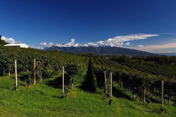 prosecco-experience-wine-tasting-full-day-from-treviso