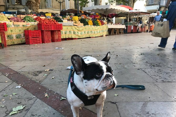provencal-farmers-market-tour-2