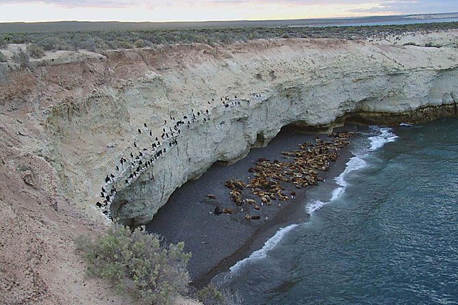 puerto-madryn-peninsula-valdes-national-park-day-trip