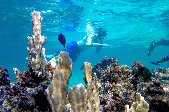 punta-cana-adults-only-snorkel-tour-with-premium-seafood-lunch