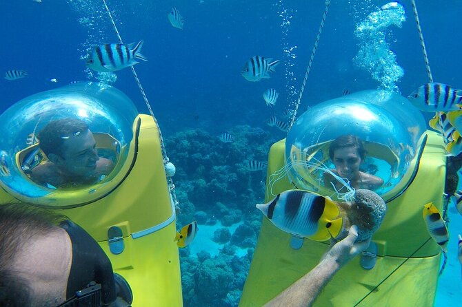 punta-cana-scuba-doo-adventure-experience-canadian-managed