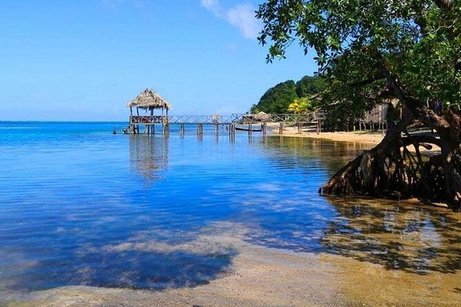 punta-gorda-sunday-fundayatv-buggy-eco-jungle-beach-adventure