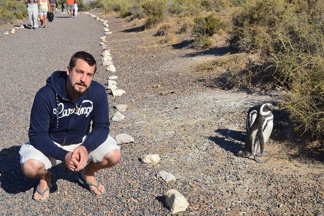 punta-tombo-tour-the-penguin-experience
