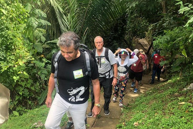 puntarenas-shore-excursion-rainforest-hanging-bridges-skywalk-tour-boat-tour