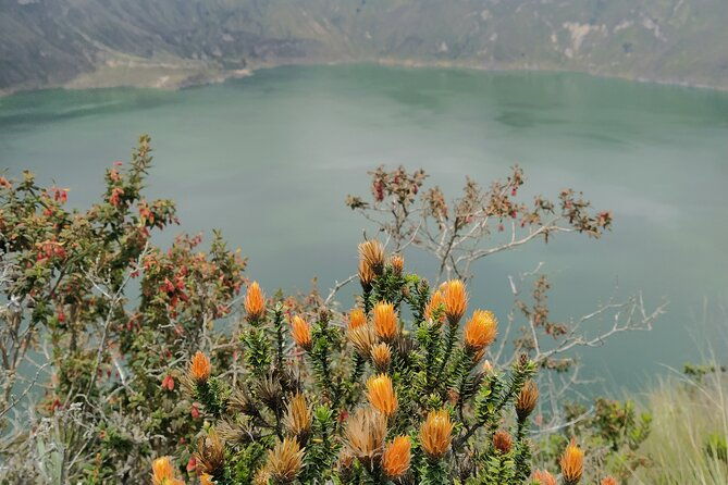 quilotoa-tigua-and-zumbahua-full-day
