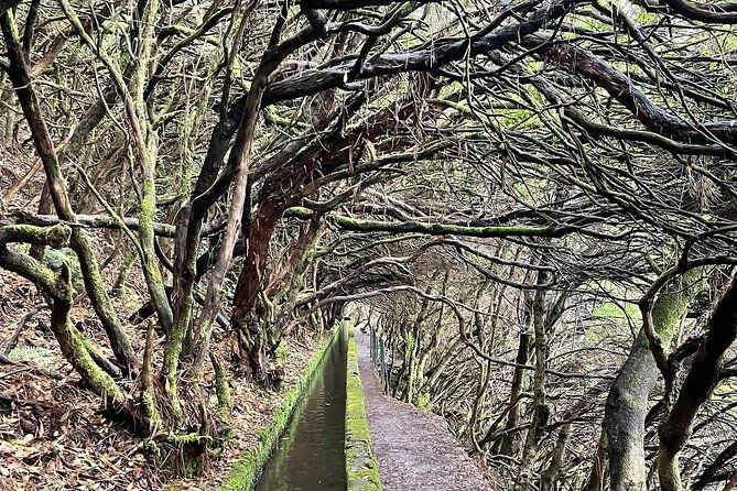 rabacal-hike-25-fontes-risco-levada-self-guided
