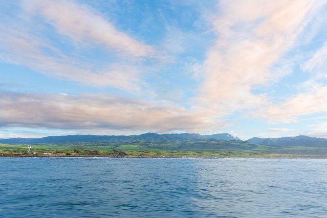 raft-adventure-whale-watch-discovery