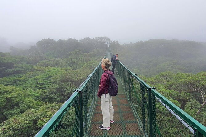 rain-forest-monteverdehanging-bridges-slothsbirds-watching