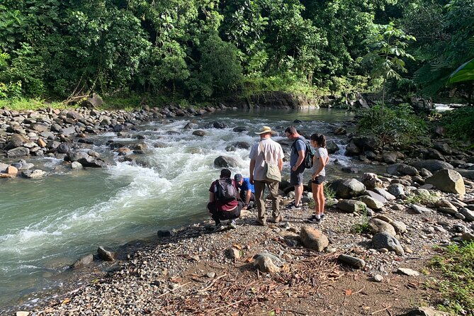 rainforest-nature-walk-luquillo-beach-combo
