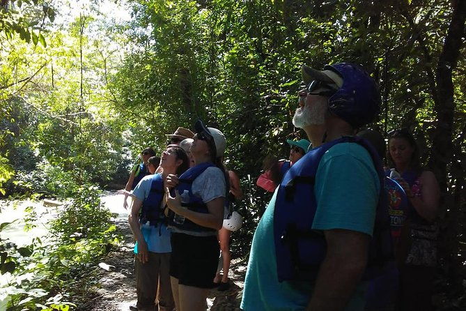 rainforest-trek-to-natural-pool-taino-bay-amber-cove-ports