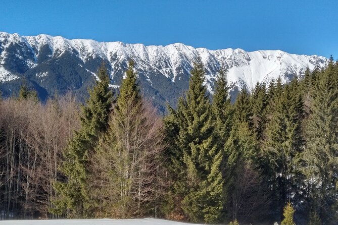 rambling-in-transylvania