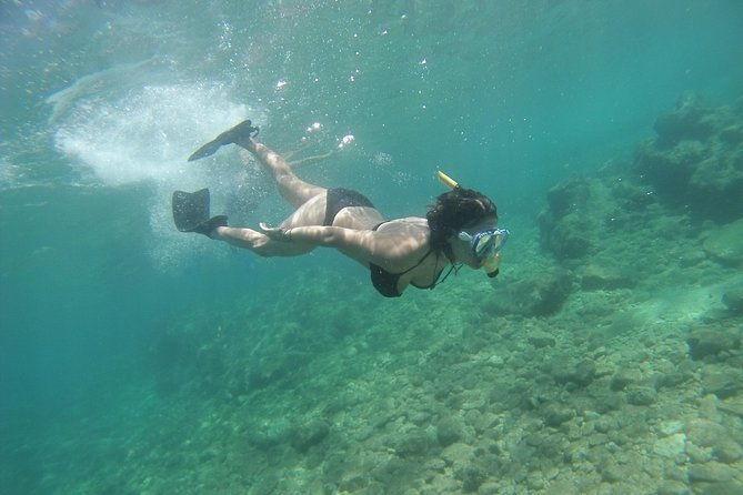 rando-palmee-getaway-around-an-island
