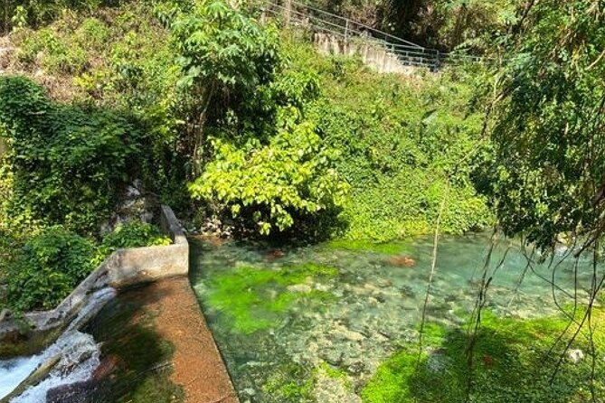 rastasafari-and-negril-tour-with-french-guide
