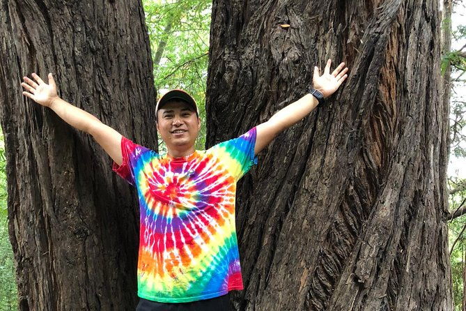 redwoods-of-marin-and-mt-tamalpais-walking-tour-with-local-guide