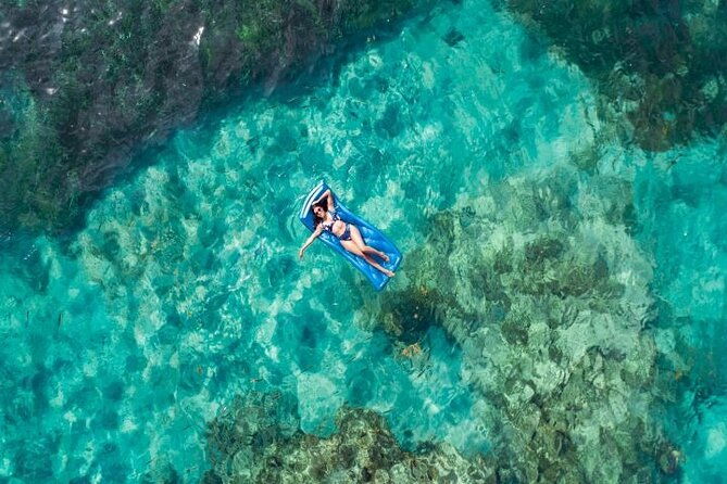 reef-explorer-half-day-trip-2
