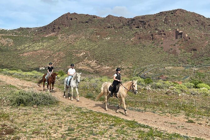 relaxing-horse-riding-tour-in-gran-canaria-2