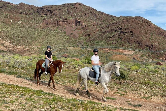relaxing-horse-riding-tour-in-gran-canaria-3