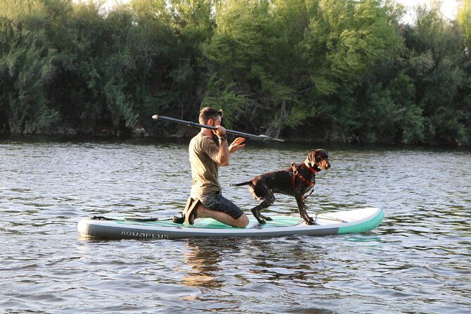rent-a-paddle-board-and-float-the-lower-salt-river