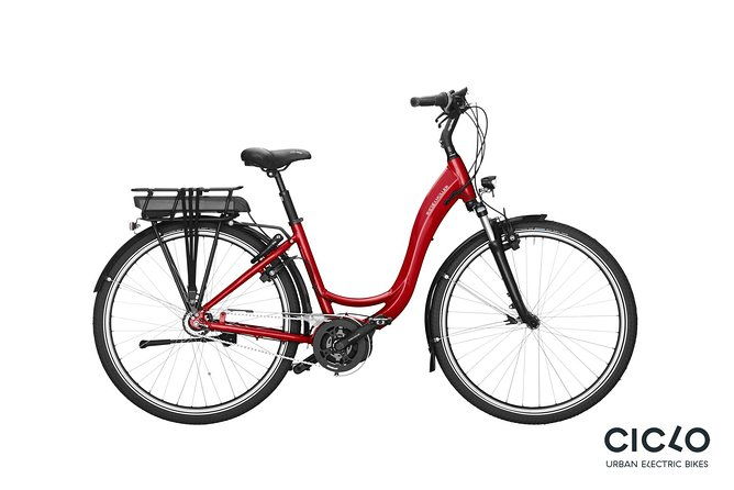 rent-an-electric-bike-with-bosch-motor-2