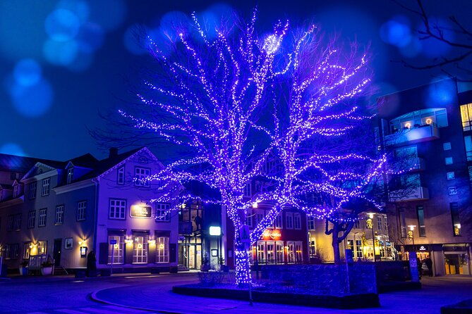 reykjavik-christmas-walking-tour-3