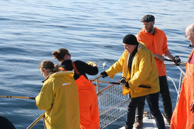 reykjavik-sea-angling-gourmet