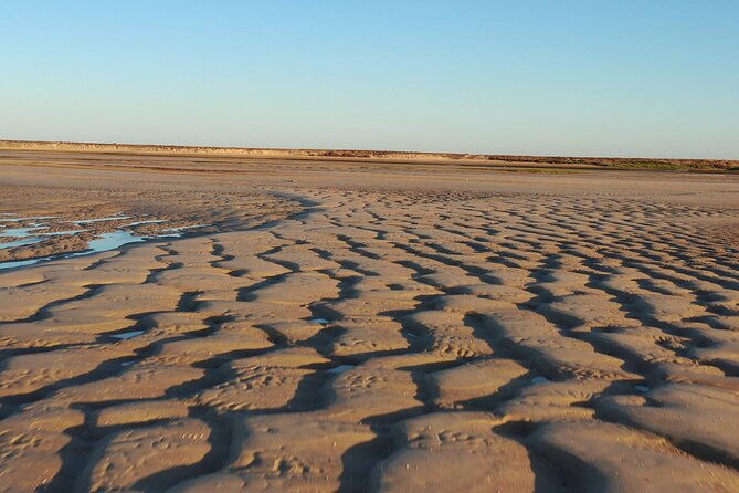 ria-formosa-islands-2h00-private-tour-of-ria-formosa-2