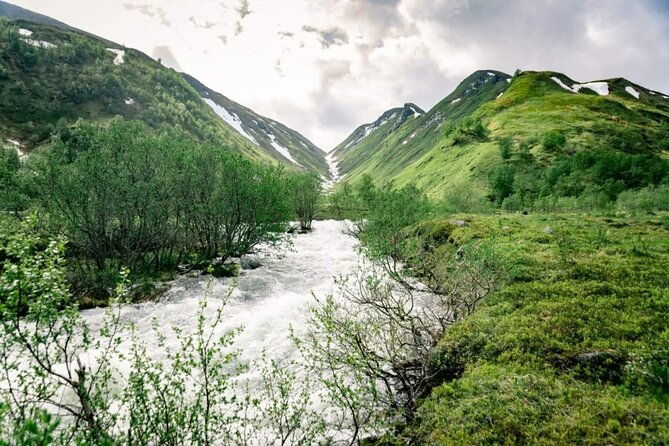rib-expedition-to-seiland-national-park-3-5h-2