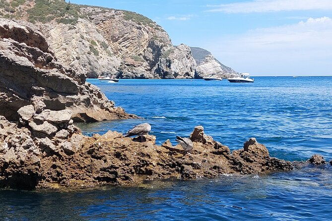 ribeiro-do-cavalo-beach-taxi-boat-transfer-round-trip