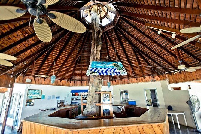ricks-cafe-full-day-seven-mile-beach-private-tour