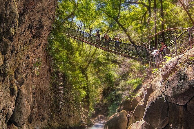 rincon-de-la-vieja-volcano-hike-oropendola-waterfall-hot-springs-lunch-combo